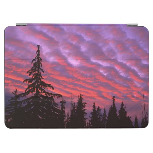 Three Sisters Wilderness Oregon iPad Air Cover