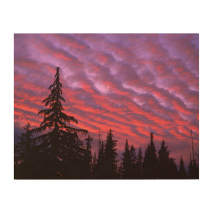 Three Sisters Wilderness, Oregon Wood Wall Art