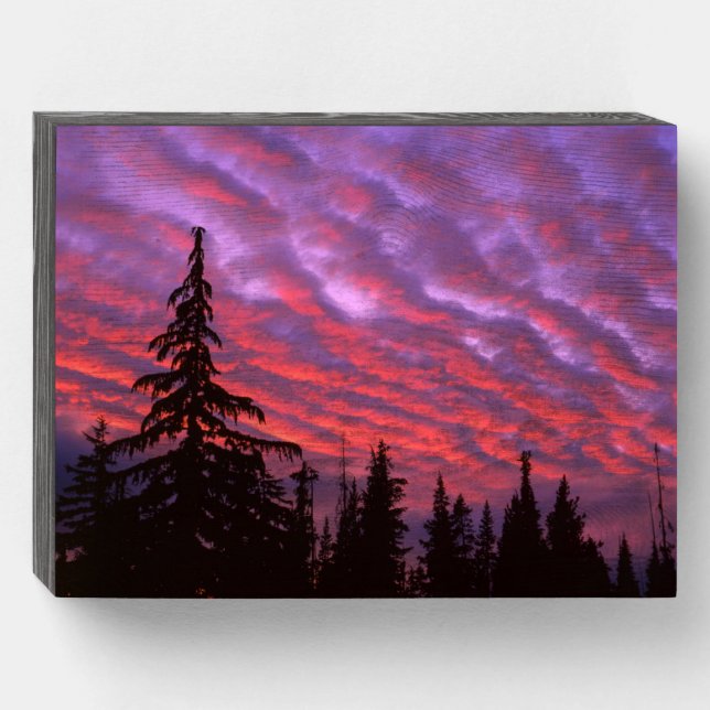 Three Sisters Wilderness, Oregon Wooden Box Sign (Front Horizontal)