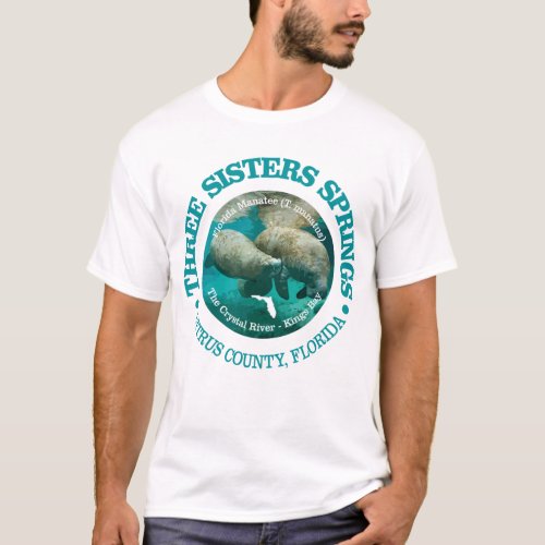 Three Sistes Springs rd T_Shirt