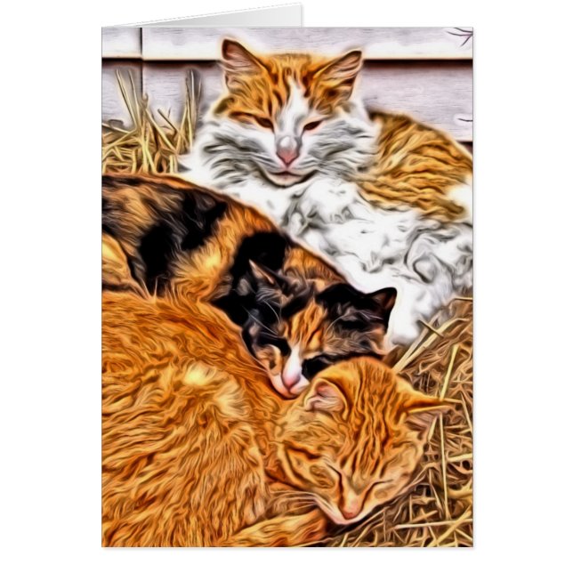 Three Sleepy Cats, All Occasion Blank Greeting Cards (Front)