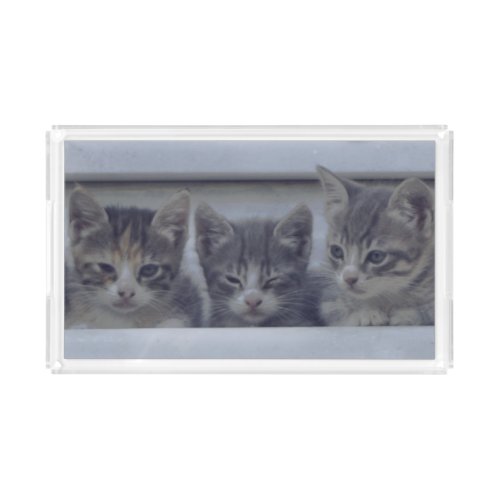 Three Sleepy Kittens in a Row Acrylic Tray