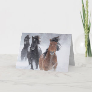 Three Snow Horses Run Fast Horse Greeting Card
