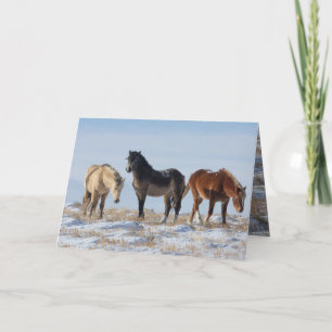 Three Snowy Bachelors Greeting Card