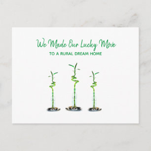 Three Spiraled Lucky Bamboo We Moved Announcement Postcard