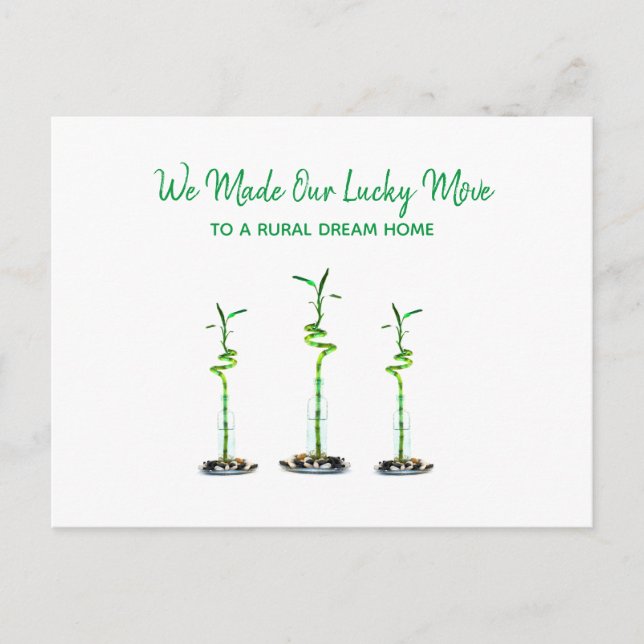 Three Spiraled Lucky Bamboo We Moved Announcement Postcard (Front)