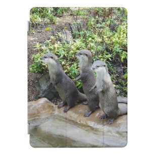 Three Standing Otters, Flip Flops iPad Pro Cover