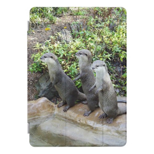 Three Standing Otters Flip Flops iPad Pro Cover