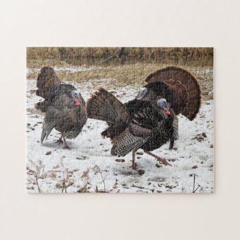 Three Strutting Wild Turkeys Photographic Art Jigsaw Puzzle by WackemArt at Zazzle