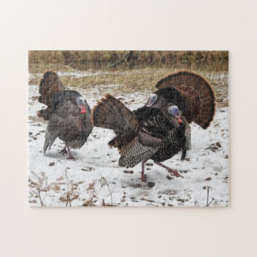 Three Strutting Wild Turkeys Photographic Art Jigsaw Puzzle