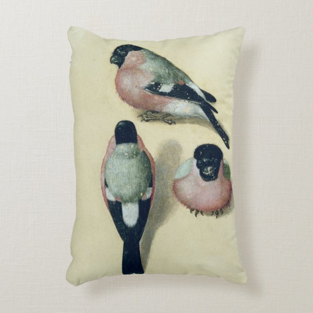 Three studies of a bullfinch decorative pillow (Front(Vertical))