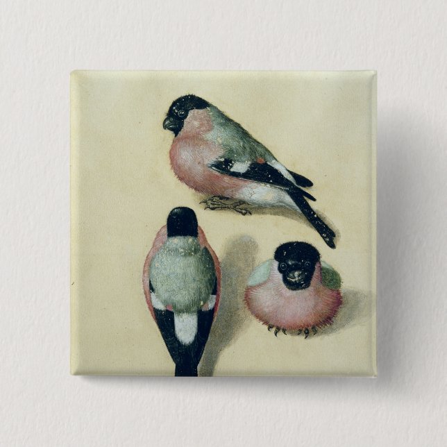 Three studies of a bullfinch pinback button (Front)