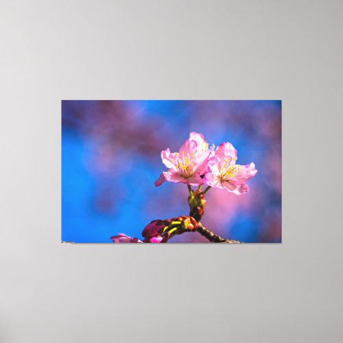 Three Sunlit Sakura Flowers On A Sunny Spring Day Canvas Print
