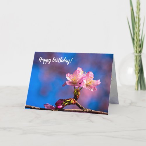 Three Sunlit Sakura Flowers On A Sunny Spring Day Card