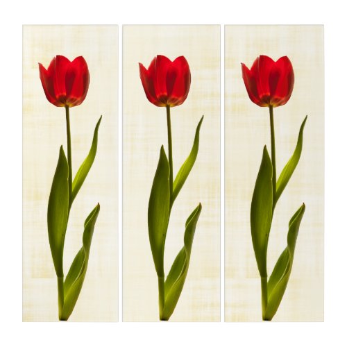 Three Tall Red Tulips Floral Photography Triptych