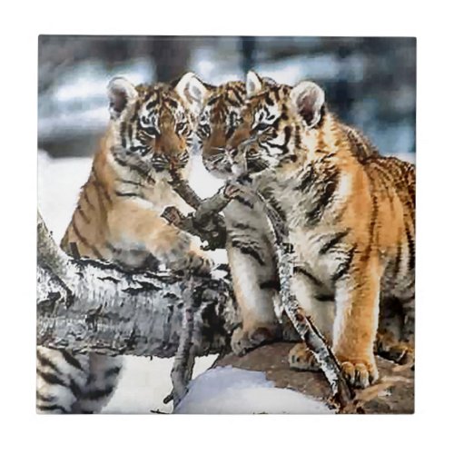 Three Tiger Cubs At Play Ceramic Tile
