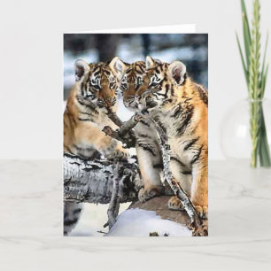Three Tiger Cubs In Snow Art Gifts Card