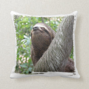 giant sloth body pillow