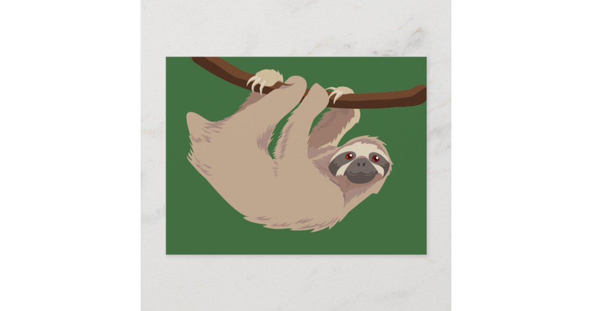 Three Toed Sloth Postcard | Zazzle