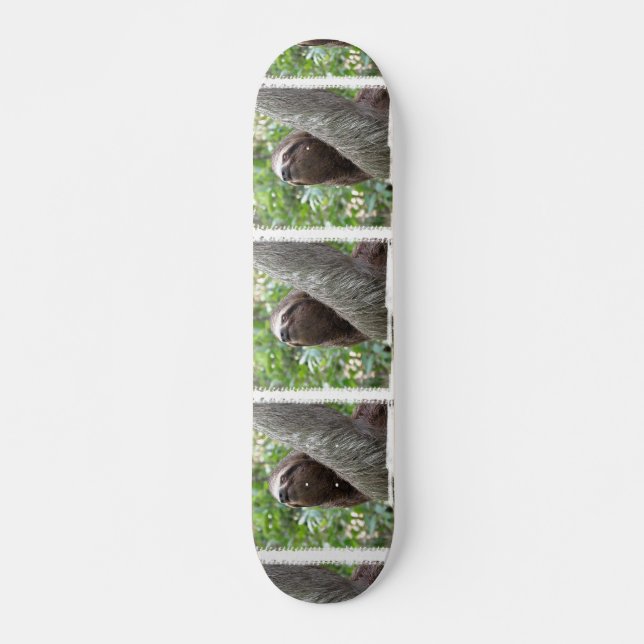 Three Toed  Sloth Skateboard (Front)