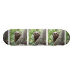 Three Toed  Sloth Skateboard Deck