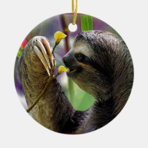 Three-Toed Tree Sloth Ceramic Ornament