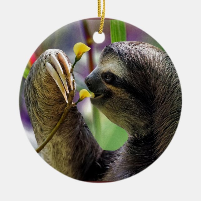 Three-Toed Tree Sloth Ceramic Ornament (Front)