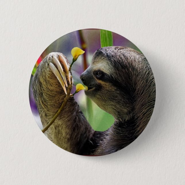 Three-Toed Tree Sloth Pinback Button (Front)