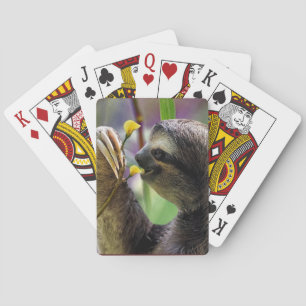 Three-Toed Tree Sloth Poker Cards