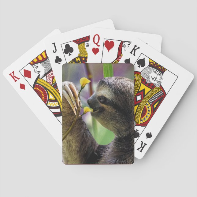 Three-Toed Tree Sloth Poker Cards (Back)