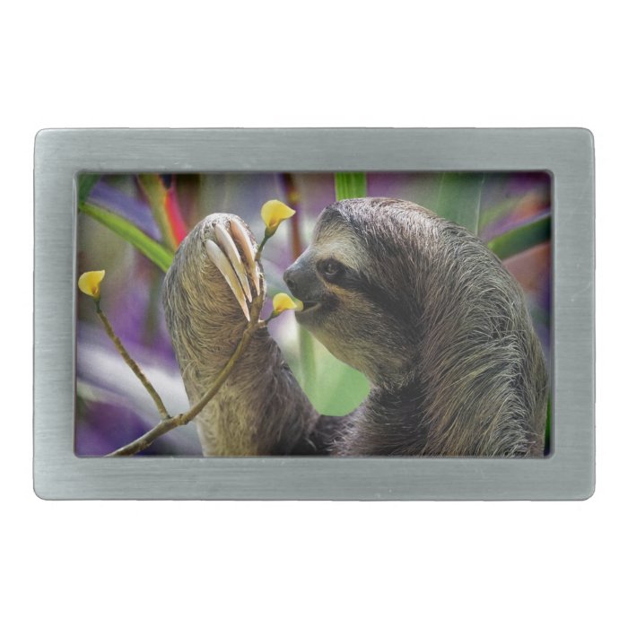 Three Toed Tree Sloth Rectangular Belt Buckle