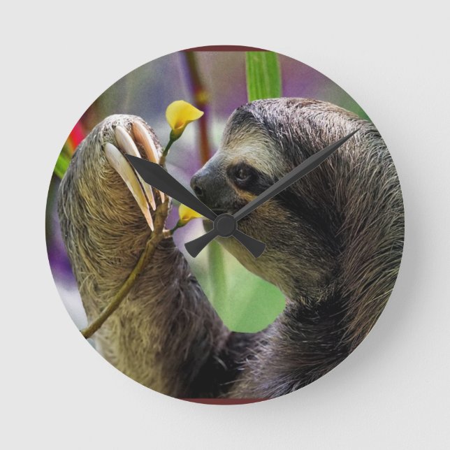 Three-Toed Tree Sloth Round Clock (Front)