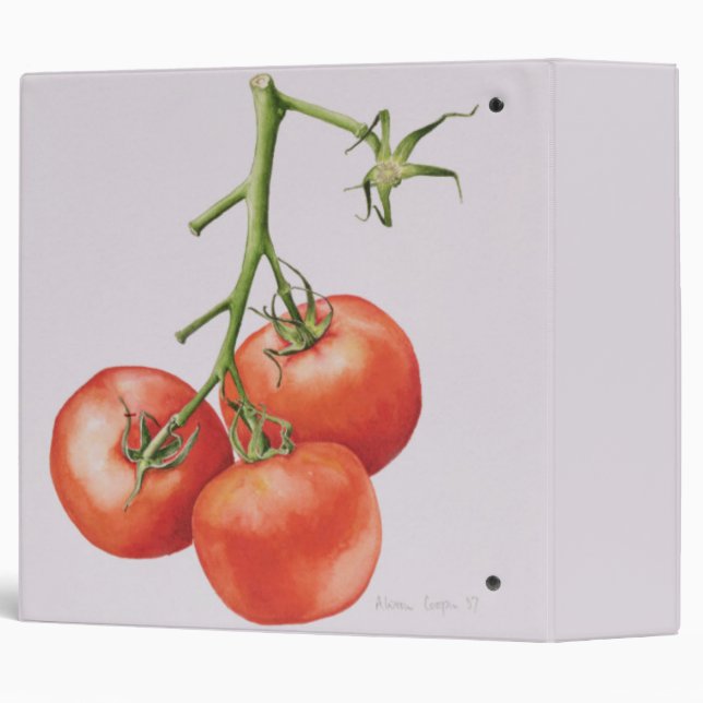 Three Tomatoes on the Vine 1997 3 Ring Binder (Back/Spine)