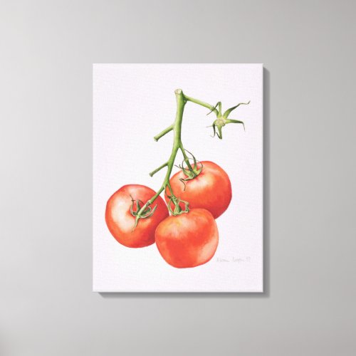 Three Tomatoes on the Vine 1997 Canvas Print