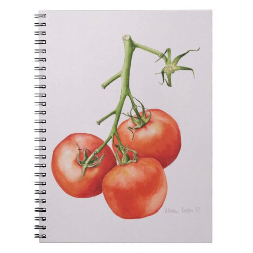 Three Tomatoes on the Vine 1997 Notebook