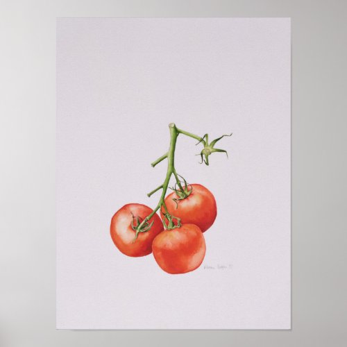 Three Tomatoes on the Vine 1997 Poster