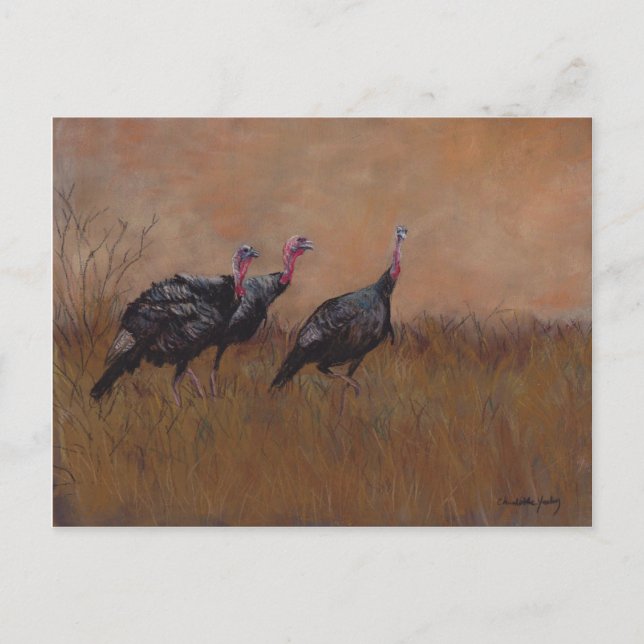 Three Toms Wildlife Art Postcard (Front)