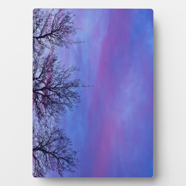 Three Tree Tops Plaque (Front)