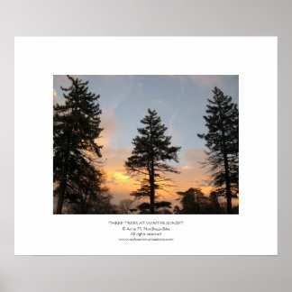 Three Trees at Winter Sunset Poster