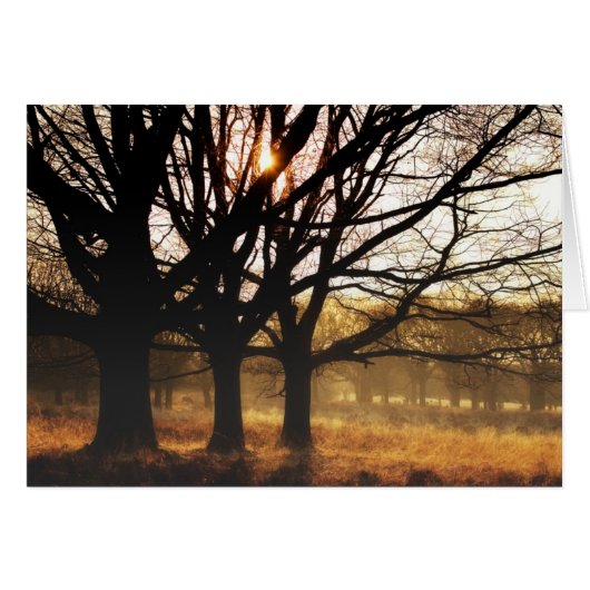 Three Trees Cards (Front Horizontal)