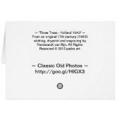 Three Trees - Holland 1643 (Back Horizontal)