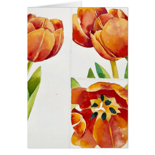 Three tulip studies in a sure 2013 cards (Front)