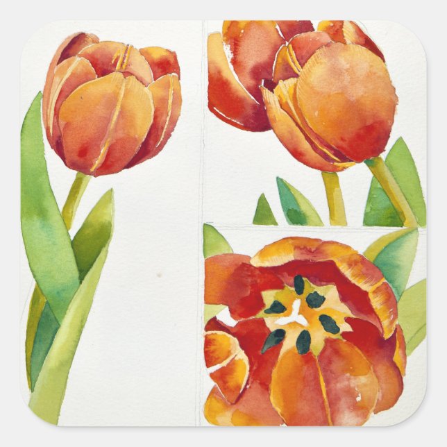 Three tulip studies in a sure 2013 square sticker (Front)