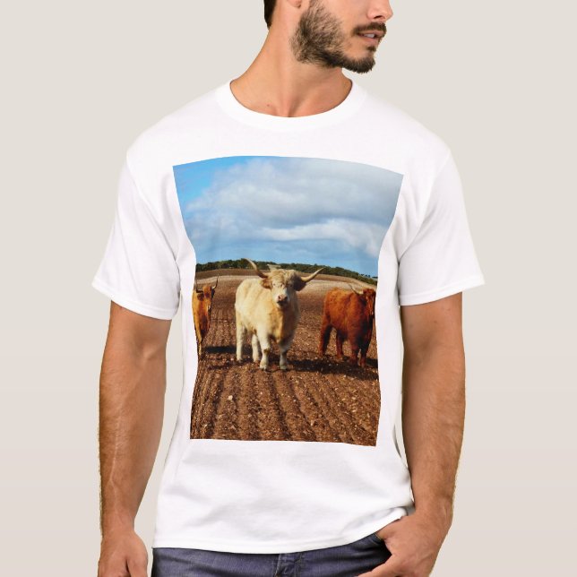 Three Very Naughty Highland Cows, T-Shirt (Front)