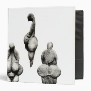 Three views of a 'Venus' statuette Binder