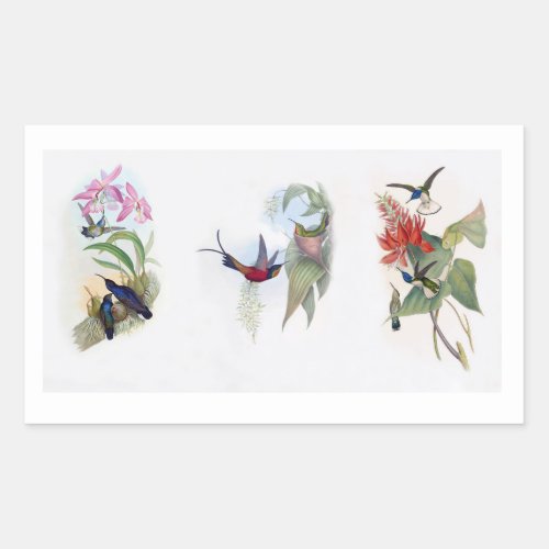 Three Vintage Paintings of Flying Hummingbirds Rectangular Sticker