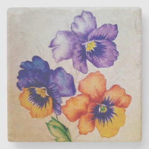 Three vintage Pansy flowers colored pencils Stone Coaster
