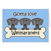 Three Weimaraners (Front Horizontal)