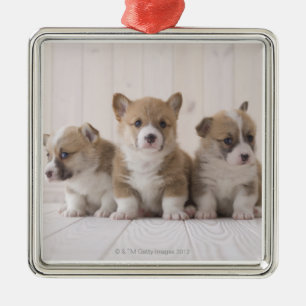 Three Welsh Corgi Metal Ornament