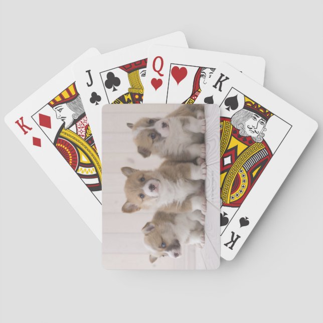 Three Welsh Corgi Poker Cards (Back)